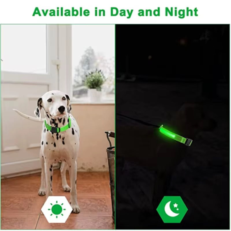 Collier LED Rechargeable pour Chien – Sécurité la Nuit